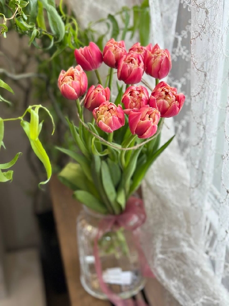 Букет из 11 малиновых пионовидных тюльпанов под ленту