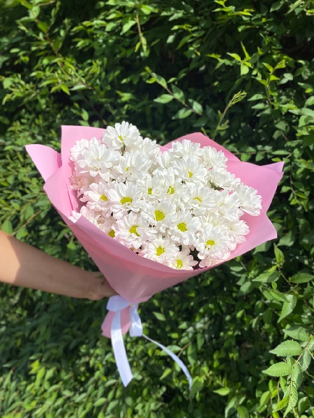 АКЦИЯ! Букет из 5 кустовых хризантем в розовом оформлении(250 руб/шт)