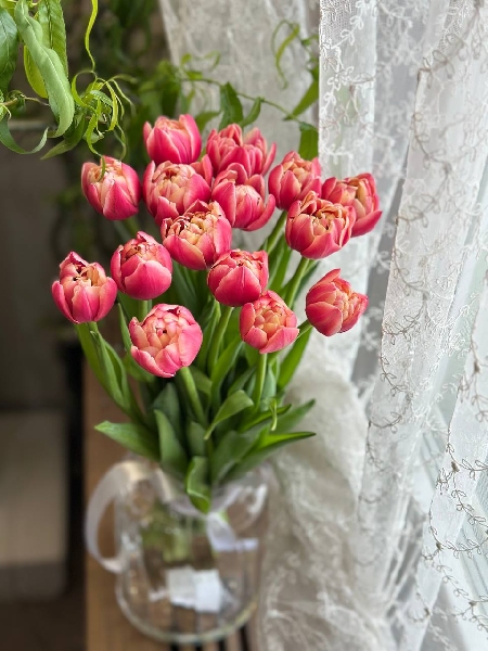 Букет из 15 малиновых пионовидных тюльпанов под ленту