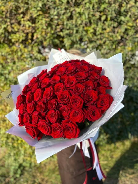 Букет из 51 красной Эквадорской розы Эксплорер