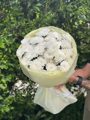 Букет из 7 кустовых хризантем 