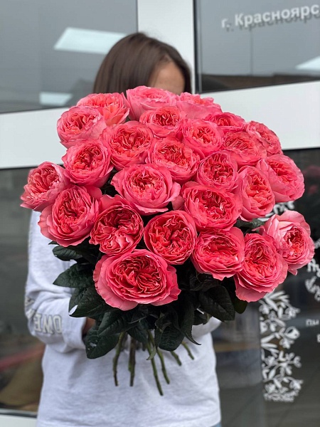 Букет из 25 пионовидных роз Эквадор
