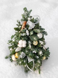 Новогодняя композиция из нобилиса "Ёлочка"