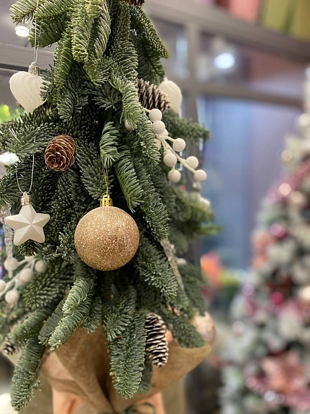 Композиция с нобилисом в виде ёлочки "Скандинавия"