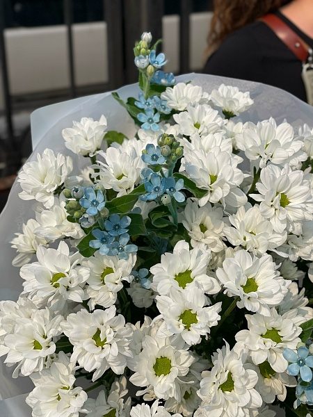 Букет из 9 кустовых ромашковых хризантем и незабудок 