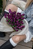 Фиолетовых классические тюльпаны "Purple lady "