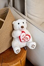 Мягкая игрушка "Медведь белый с сердцем 23 см MT - SUT072005 - 23"