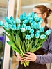 Тюльпан классический крашенный (бирюзовый)