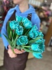 Тюльпан пионовидный крашенный (бирюзовый)