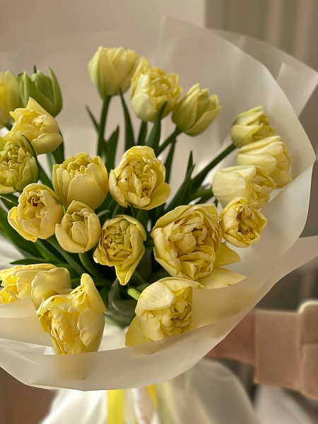 Букет из 25 пионовидных лимонных тюльпанов