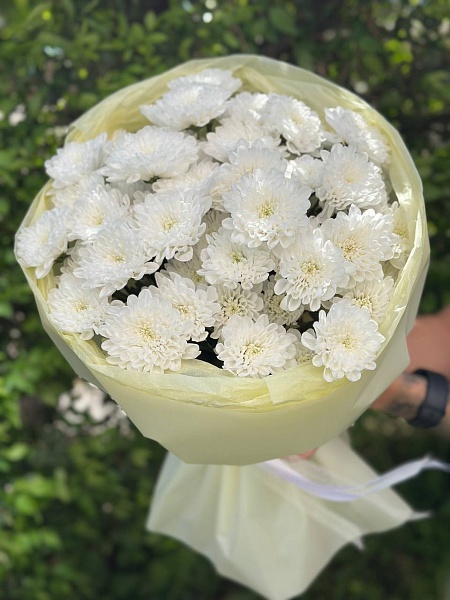 Букет из 9 кустовых хризантем
