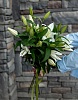 АКЦИЯ. Букет из 5 лилий под ленту
