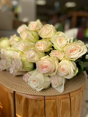 Пионовидная роза "Вайт Охара"
