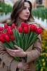 Букет из 31 красного классического тюльпана под ленту