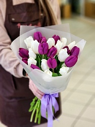 Букет из 25 классических тюльпанов белого и фиолетового цвета "Контраст"