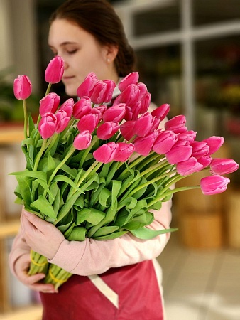 Тюльпан классический Jumbo Pink