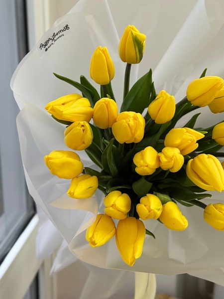Букет из 25 классических желтых тюльпанов
