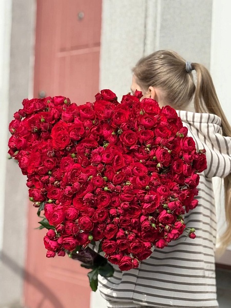 Роза "Скарлет Дименшен" кустовая пионовидная