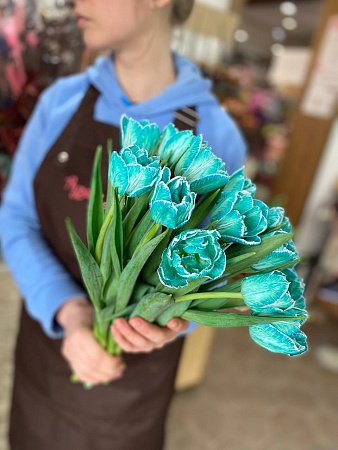 Тюльпан пионовидный крашенный (бирюзовый)