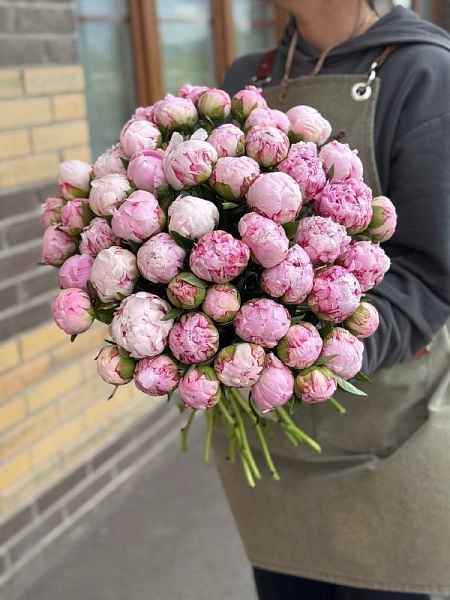 Букет из 51 одного пиона под ленту