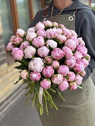 Букет из 51 одного пиона под ленту