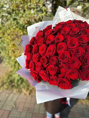 Букет из 51 красной Эквадорской розы Эксплорер 