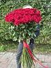 СПЕЦПРЕДЛОЖЕНИЕ. Премиальная роза 90-100 см 