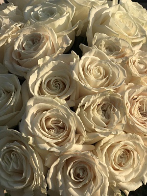 Букет из роз "Белый жемчуг"