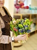 Гиацинты микс