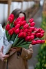 Букет из 31 красного классического тюльпана под ленту