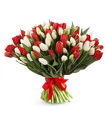 Акция к 8 марта! красно -белые тюльпаны
