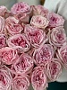 Букет из 25 пионовидных роз "Пинк охара"