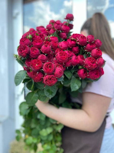 Кустовая бордовая роза "Maroon"