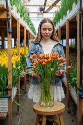 Красно-оранжевые пионовидные тюльпаны "Crossfire"