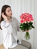 АКЦИЯ. Букет из 15 розовых Российских роз Джумилия