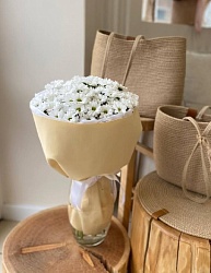 Букет из 11 хризантем сантини "Сказка о ромашках"