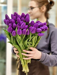 Тюльран классический Purple Prince