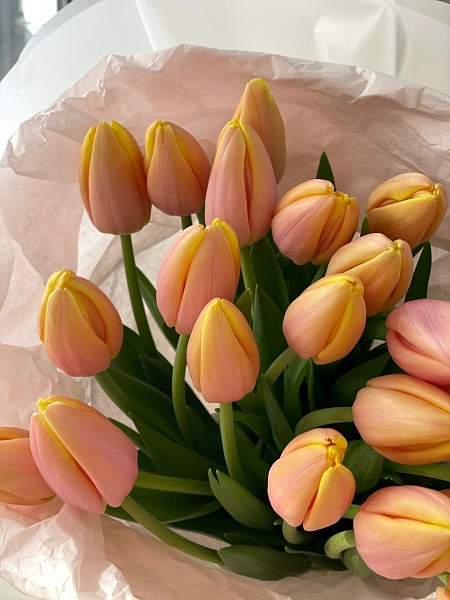 АКЦИЯ. Букет из 25 классических персиковых тюльпанов