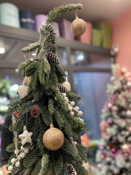 Композиция с нобилисом в виде ёлочки "Скандинавия"