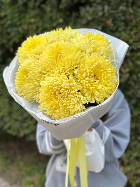 Букет из 7 одноголовых хризантем "Солнечный день"