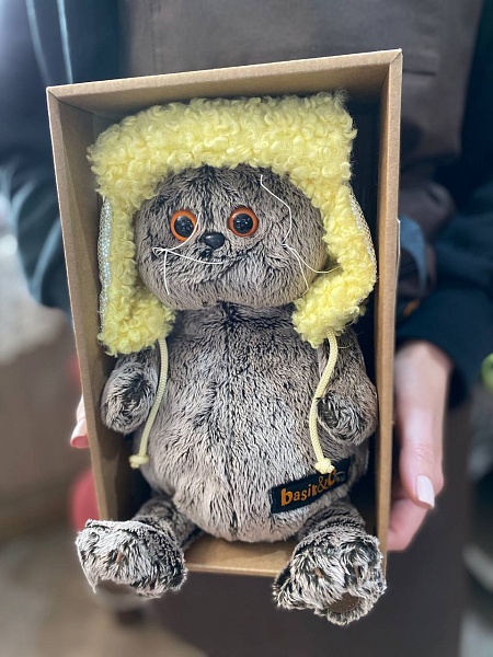 Мягкая игрушка "Басик в стеганой шапке-ушанке" 22 см Ks22-186