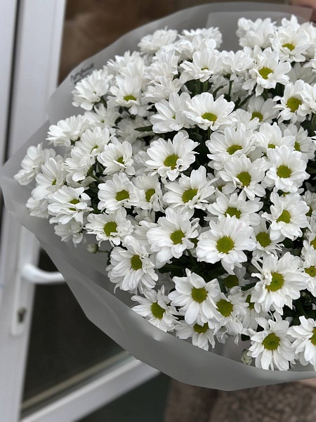 АКЦИЯ. Букет из 15 кустовых хризантем "Романтик"