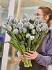 Тюльпан классический  крашенный (чёрный)