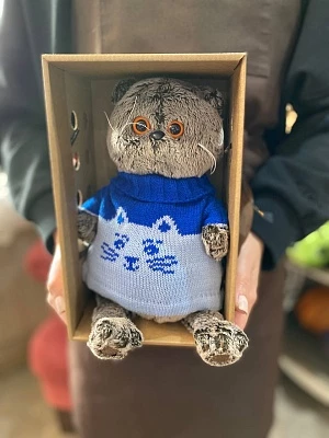 Мягкая игрушка "Басик в свитере "Кот"" 22 см Ks22-207