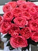 Букет из 25 пионовидных роз Эквадор