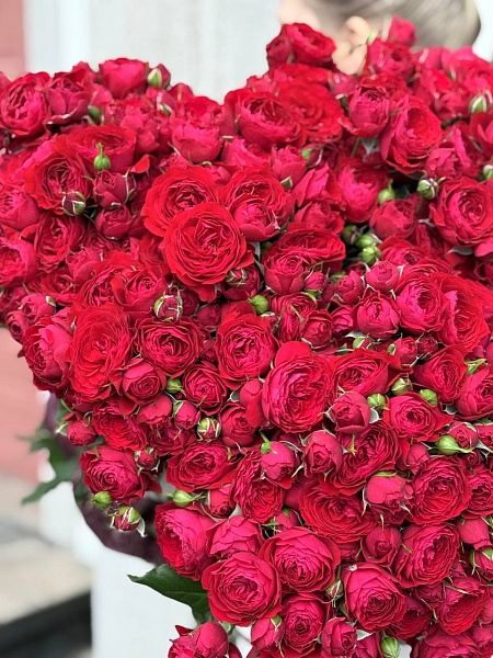 Роза "Скарлет Дименшен" кустовая пионовидная