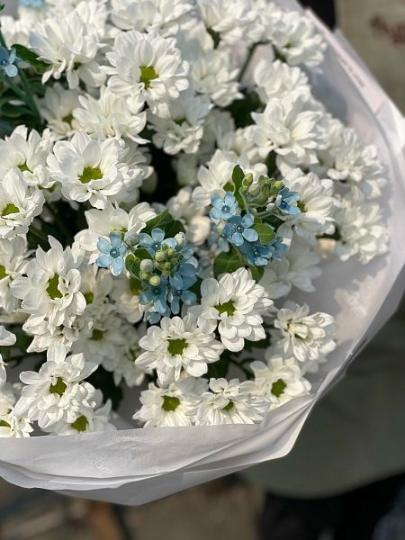 Букет из 9 кустовых ромашковых хризантем и незабудок 