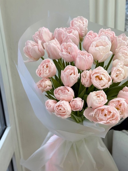 Букет из 25 пионовидных крашенных тюльпанов