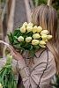 Букет из 31 лимонного классического тюльпана под ленту