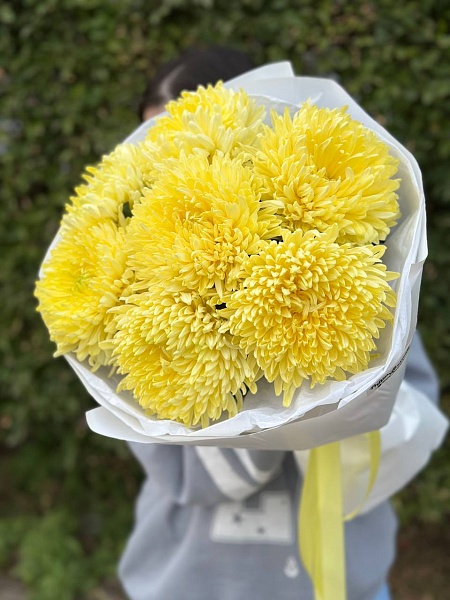 Букет из 7 одноголовых хризантем "Солнечный день"
